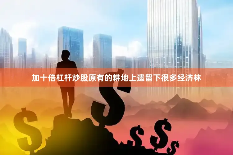 加十倍杠杆炒股原有的耕地上遗留下很多经济林