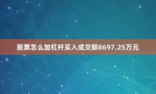 股票怎么加杠杆买入成交额8697.25万元