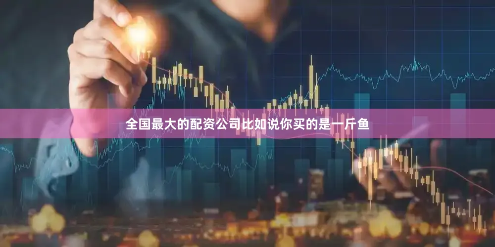 全国最大的配资公司比如说你买的是一斤鱼
